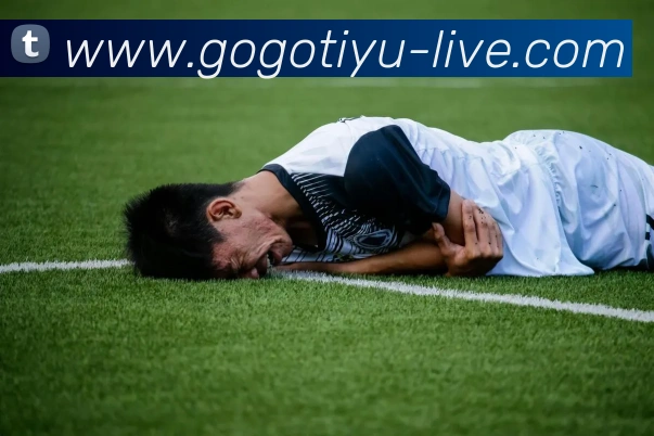 GOGO体育APP 封面图